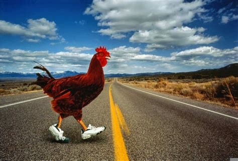 chickenroad-community Concept Art